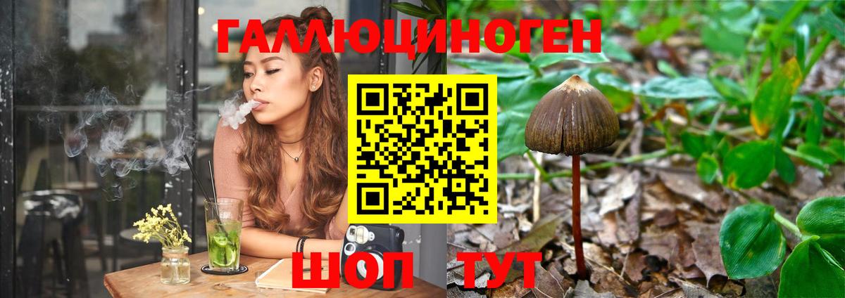 Старый Оскол  Псилоцибиновые грибы MAGIC MUSHROOMS  Вход с VPN 